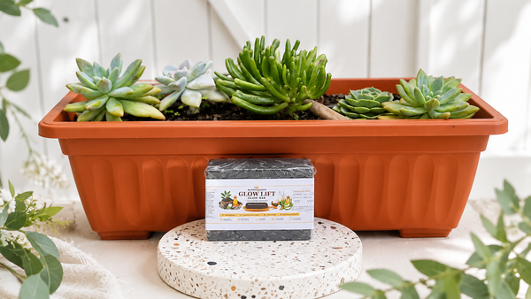 BEETHEQUEEN GLOW LIFT Activated Charcoal glow bar
